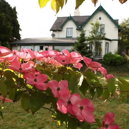 Robin Hill Heritage Guest House Cobh