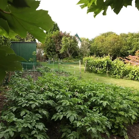 Robin Hill House Heritage B&B 4*