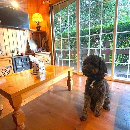 로빈 힐 하우스 B&B