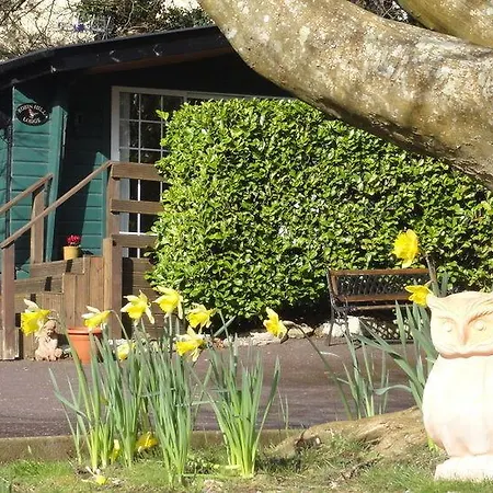 فندق مبيت وإفطار Robin Hill House Heritage 4*