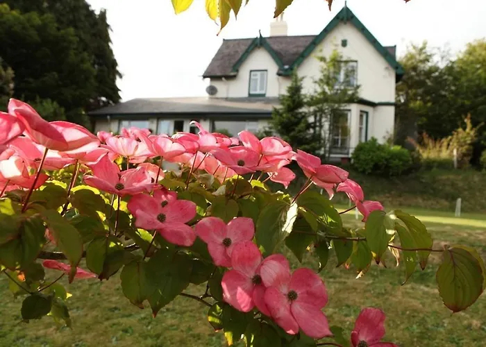 Robin Hill Heritage Guest House Cobh