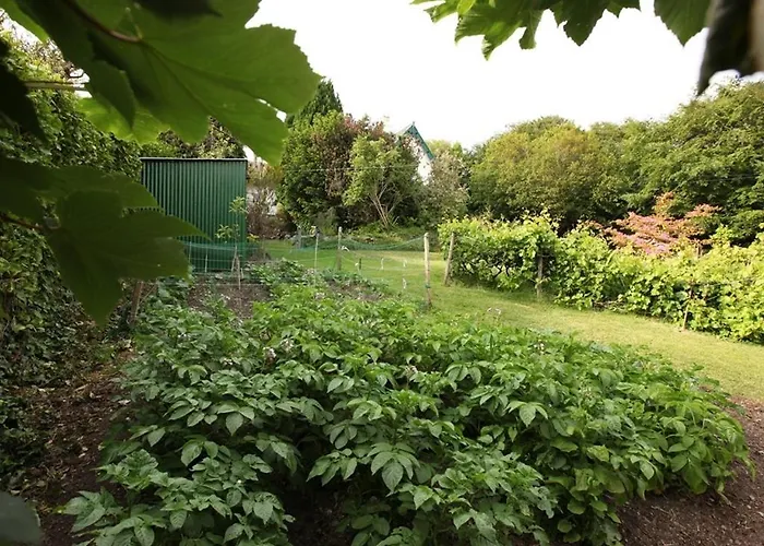 Robin Hill Heritage Guest House 4*